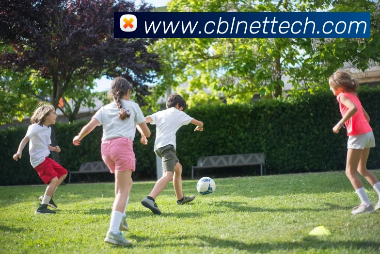 欧宝在线官网服务体系